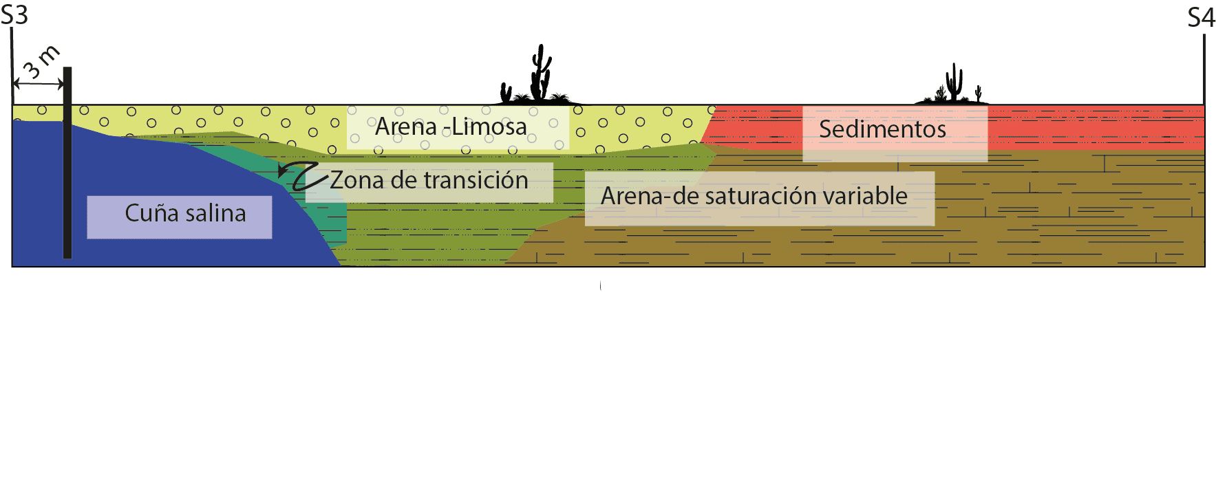 Interpretación cuña salina