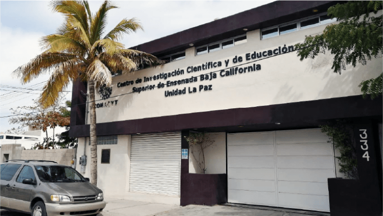 Concurso de creación del logo del 25 aniversario de la Unidad La Paz – CICESE