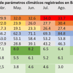 Resumen anual: Per&iacute;odo: 2024-2025