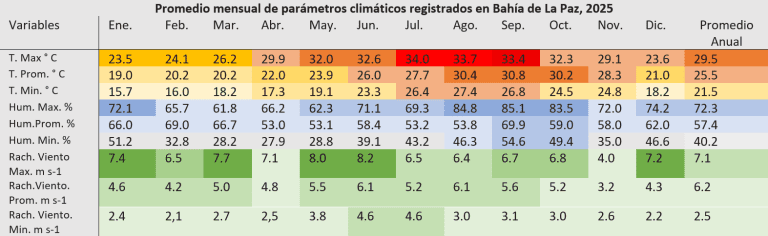 Resumen anual: Período: 2024-2025